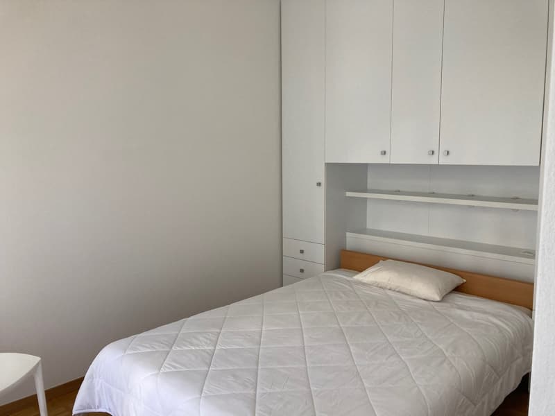 Lugano, monolocale ammobiliato in zona tranquilla (3)