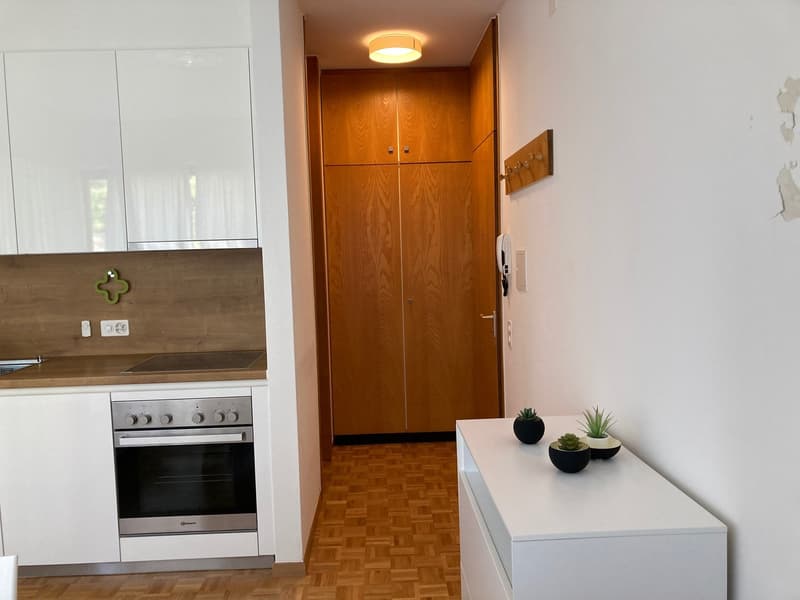 Lugano, monolocale ammobiliato in zona tranquilla (4)