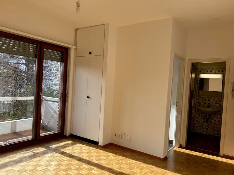 Lugano-Massagno, hübsche 1.5-Zimmer-Wohnung, in kleiner Wohnanlage (3)