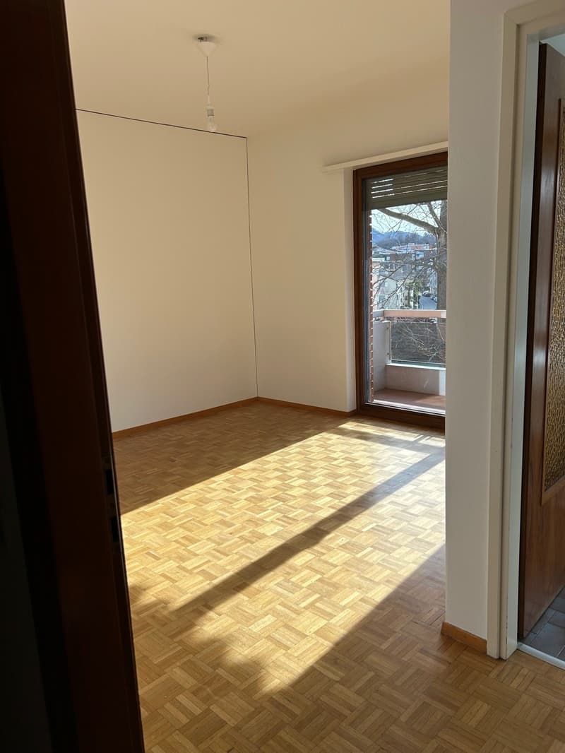 Lugano-Massagno, hübsche 1.5-Zimmer-Wohnung, in kleiner Wohnanlage (4)