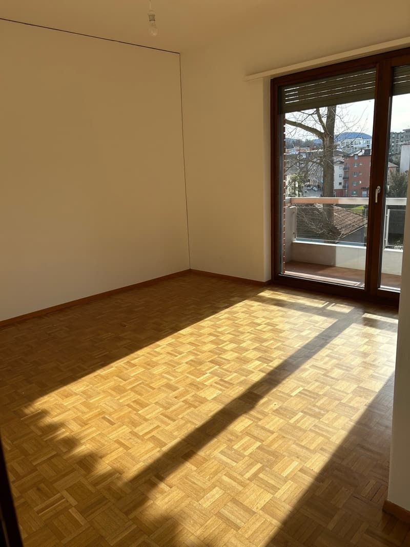 Lugano-Massagno, hübsche 1.5-Zimmer-Wohnung, in kleiner Wohnanlage (2)