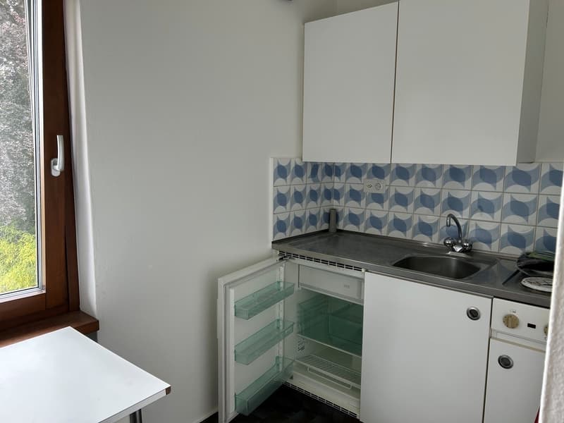Lugano-Massagno, hübsche 1.5-Zimmer-Wohnung, in kleiner Wohnanlage (5)