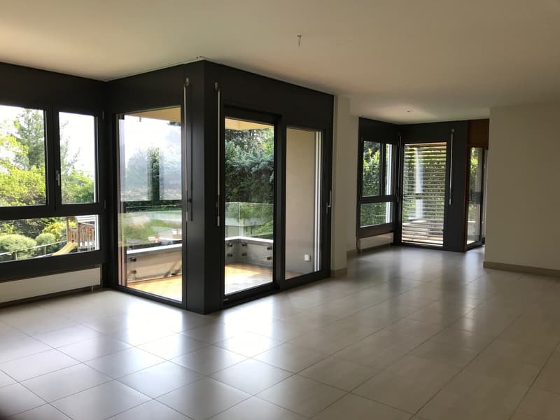 Appartamento con giardino in zona tranquilla (3)