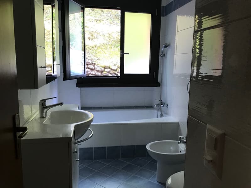 Appartamento con giardino in zona tranquilla (11)