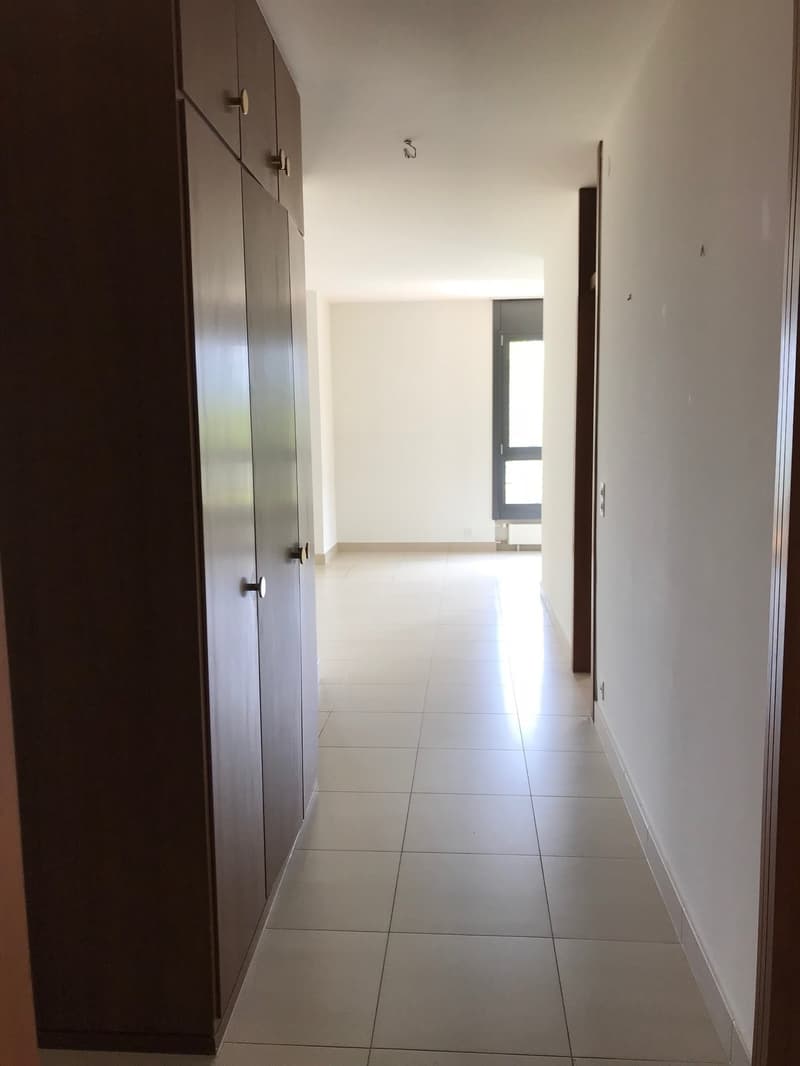 Spazioso appartamento in piccola palazzina, zona tranquilla (7)