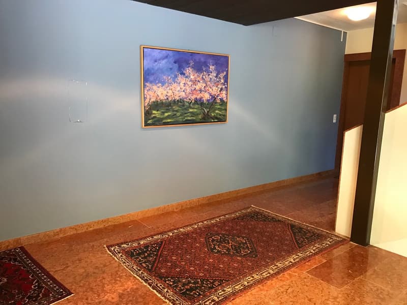 Appartamento con giardino in zona tranquilla (15)