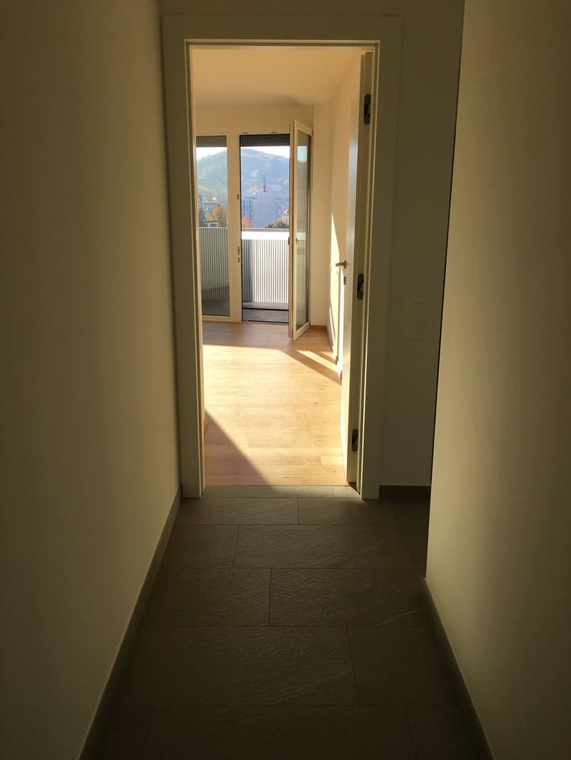 Lugano-Savosa, appartamento 3.5 locali - ultimo piano (6)