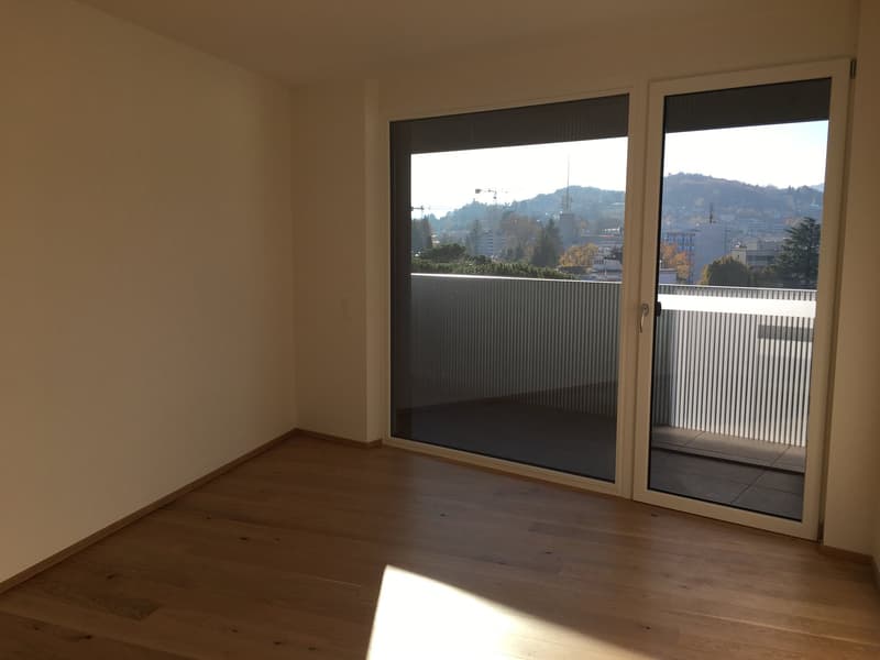 Lugano-Savosa, appartamento 3.5 locali - ultimo piano (7)
