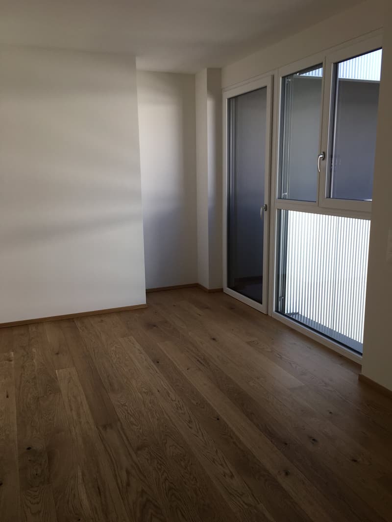 Lugano-Savosa, appartamento 3.5 locali - ultimo piano (11)