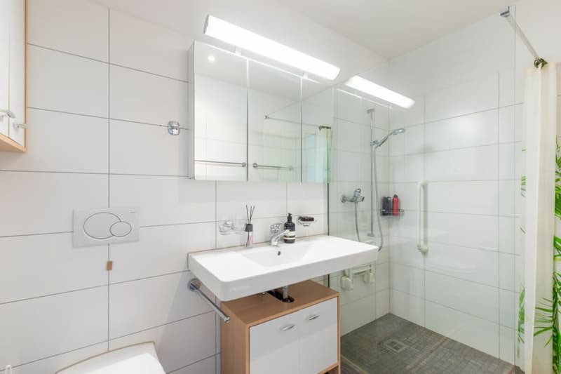 Nasszelle mit Dusche, Lavabo und WC