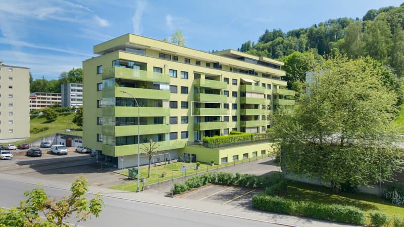 MFH Blattenmoosstrasse 1 + 3 (Wohnung eingezeichnet)