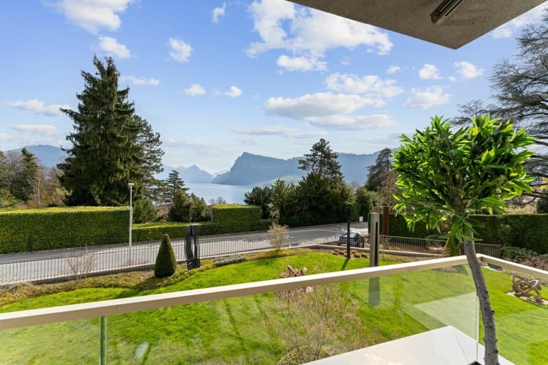 Perle am See: Exklusive Doppelhaushälfte im Villenstil (9)