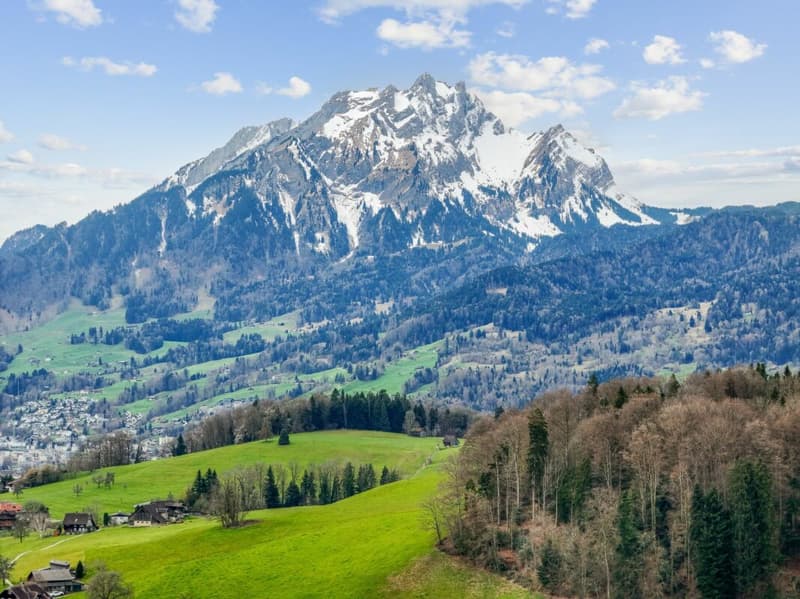 Perle am See: Exklusive Doppelhaushälfte im Villenstil (11)