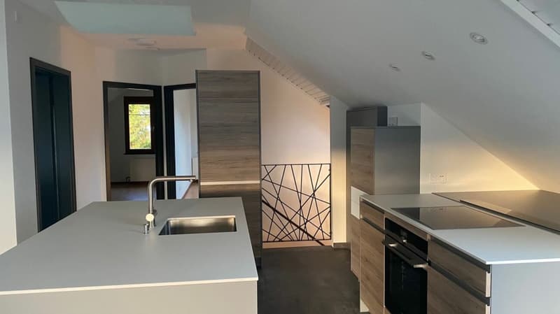 3 ½-room attic apartment with garden share (6)