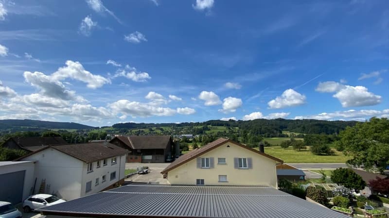3 ½-room attic apartment with garden share (10)
