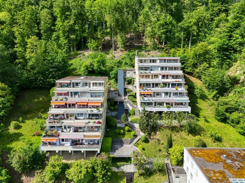 Appartamento di 3,5 locali appena ristrutturato con bella terrazza e vista mozzafiato a Kriens (11)