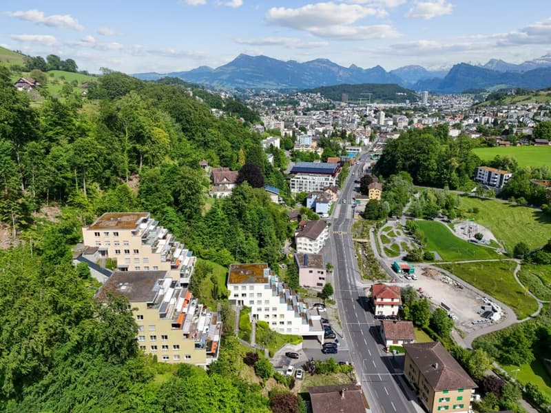 Appartamento di 3,5 locali appena ristrutturato con bella terrazza e vista mozzafiato a Kriens (10)