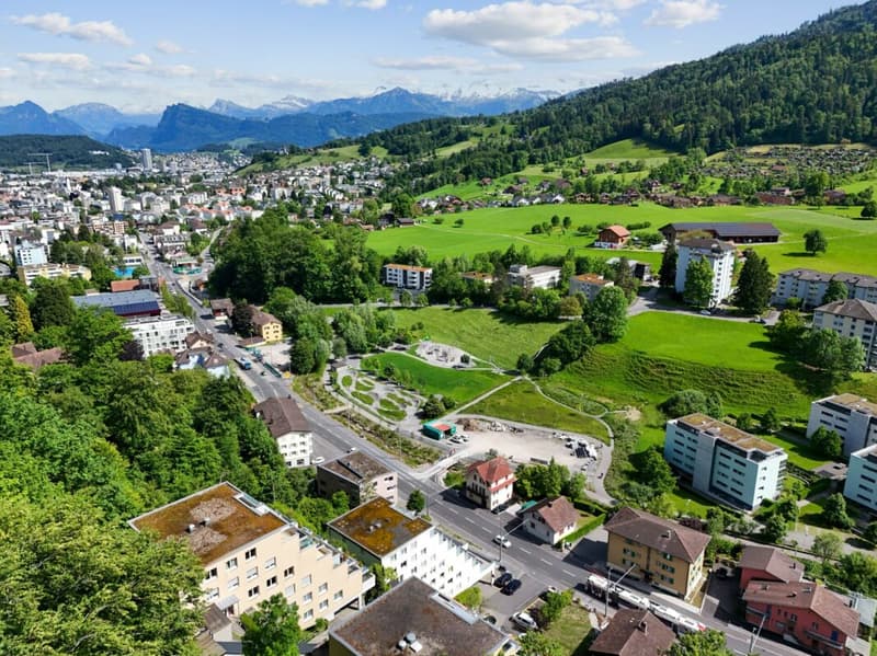 Appartamento di 3,5 locali appena ristrutturato con bella terrazza e vista mozzafiato a Kriens (9)
