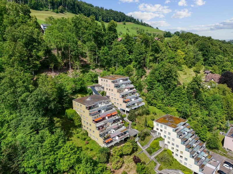 Appartamento di 3,5 locali appena ristrutturato con bella terrazza e vista mozzafiato a Kriens (12)