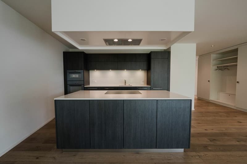 Moderne 3½-Zimmer-Wohnung mit Option auf 4½ Zimmer und schöner Aussicht über Luzern (2)
