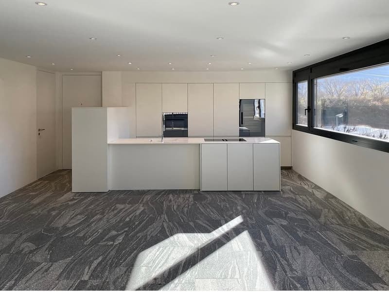 Monte Carasso – Elegante 3.5 locali in affitto (3)