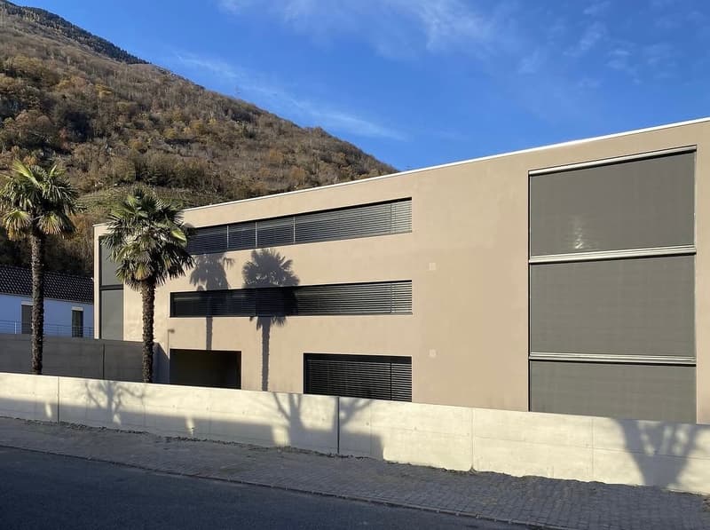 Monte Carasso – Elegante 3.5 locali in affitto (4)