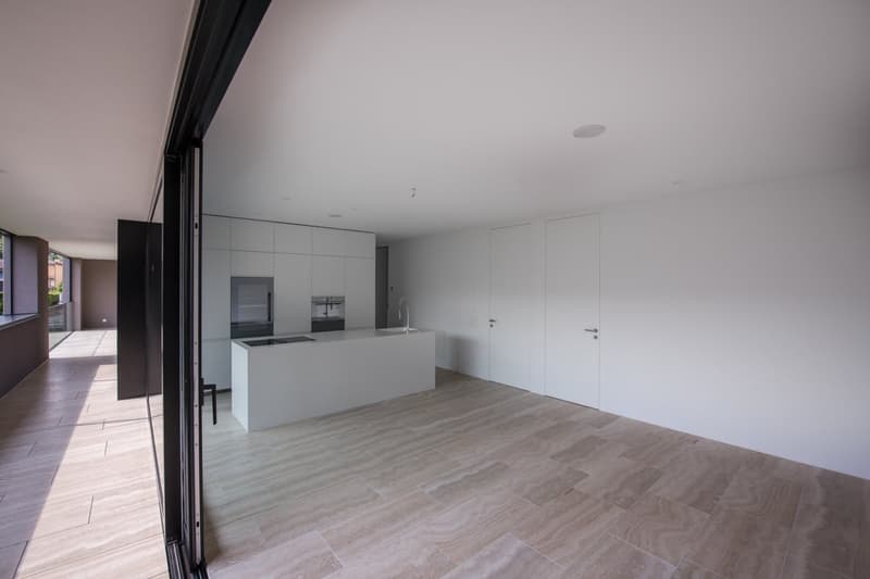 ASCONA ULTIMO 2,5 LOCALI IN RESIDENZA MILEANNA (7)