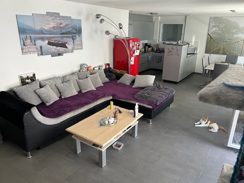 Charming 4.5-room apartment (5)