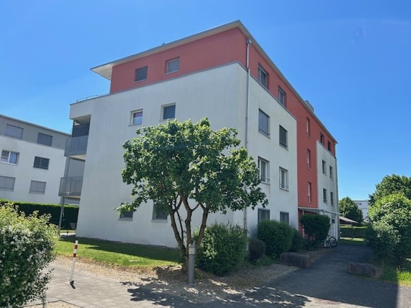 Charming 4.5-room apartment (1)