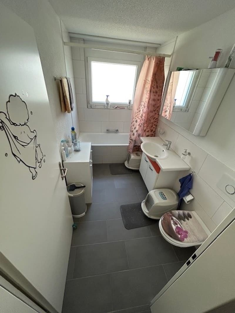 Charming 4.5-room apartment (12)