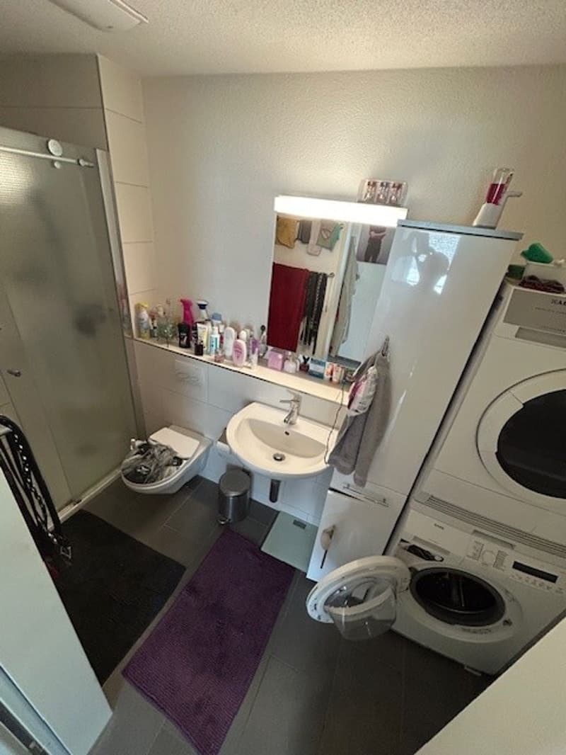 Charming 4.5-room apartment (11)