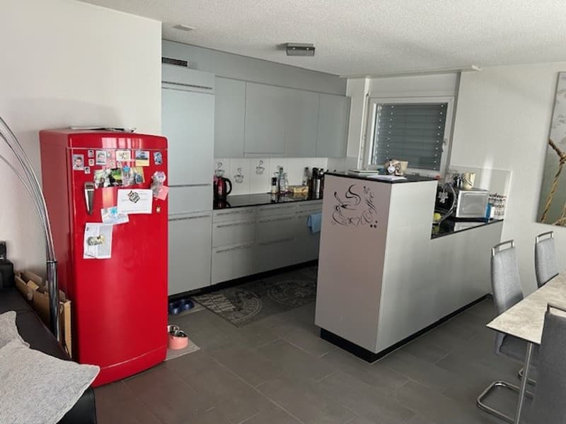 Charming 4.5-room apartment (6)