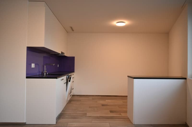 Einmalige Business-Location ! (6)