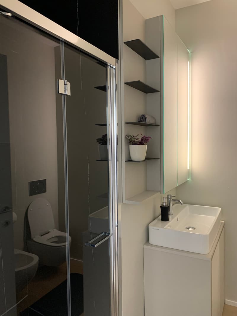 Appartement VUE SUR LAC - meublé et prêt à vivre (5)