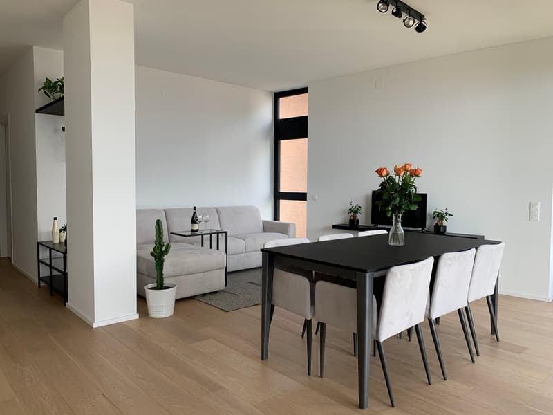 Appartement VUE SUR LAC - meublé et prêt à vivre (15)