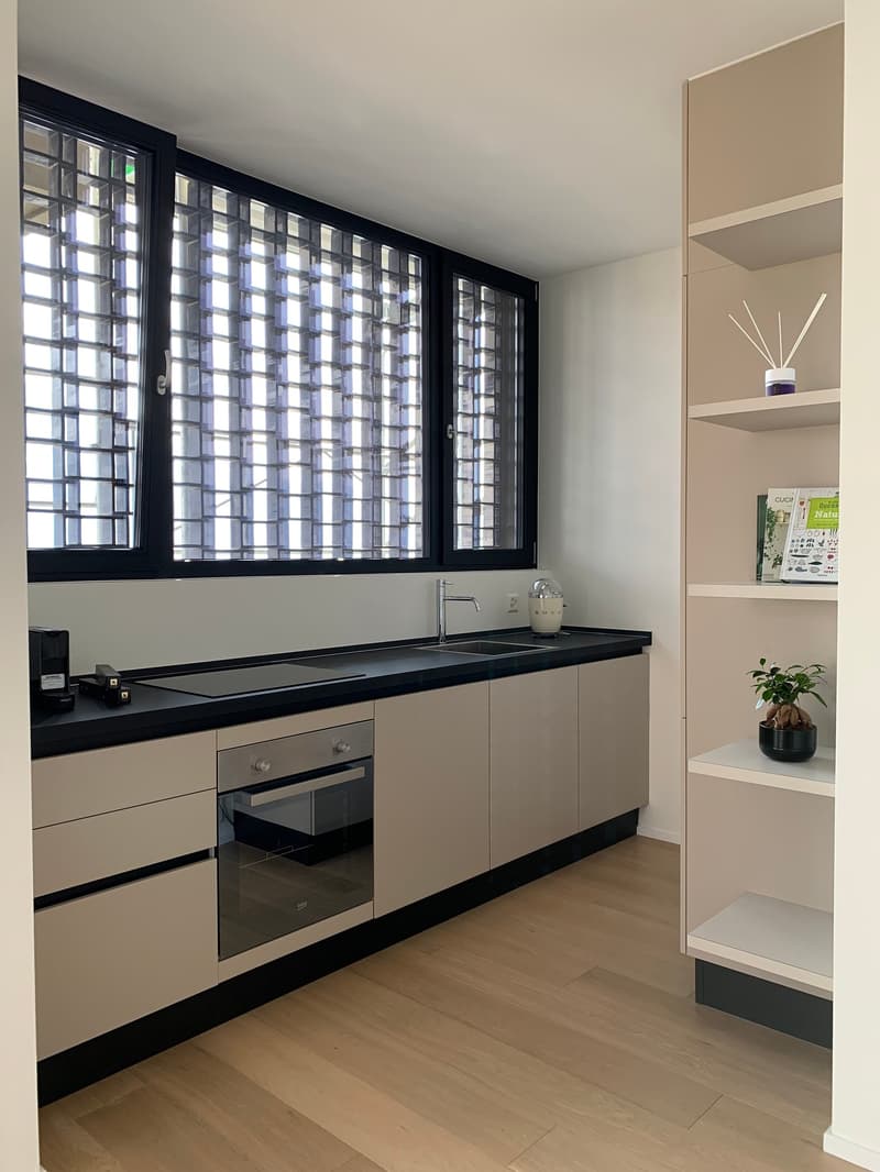 Appartement VUE SUR LAC - meublé et prêt à vivre (13)