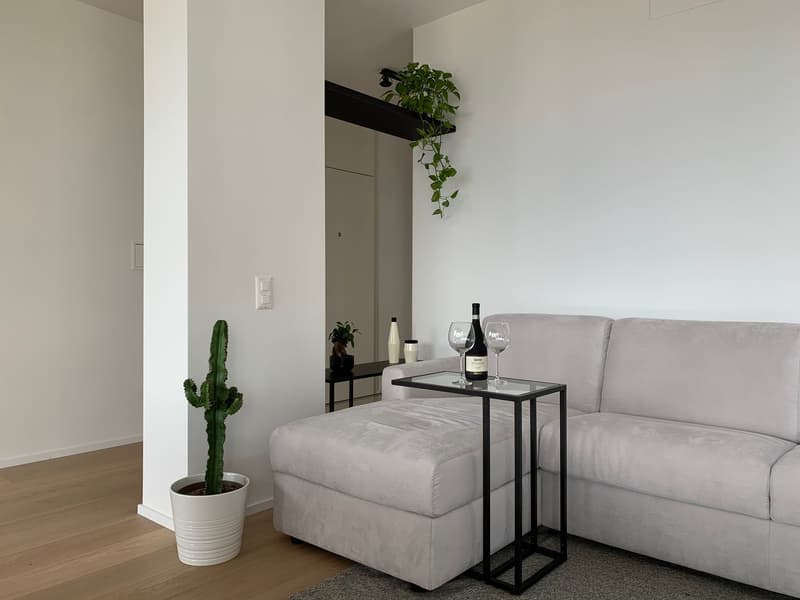 Appartement VUE SUR LAC - meublé et prêt à vivre (3)