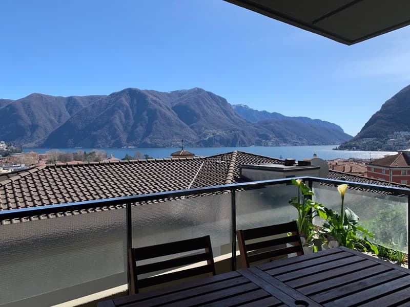 Appartement VUE SUR LAC - meublé et prêt à vivre (1)