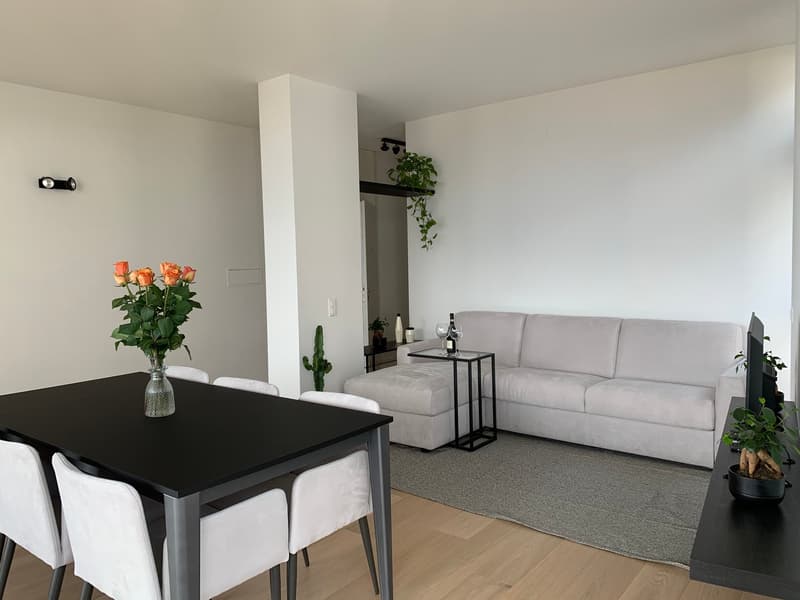 Appartement VUE SUR LAC - meublé et prêt à vivre (4)