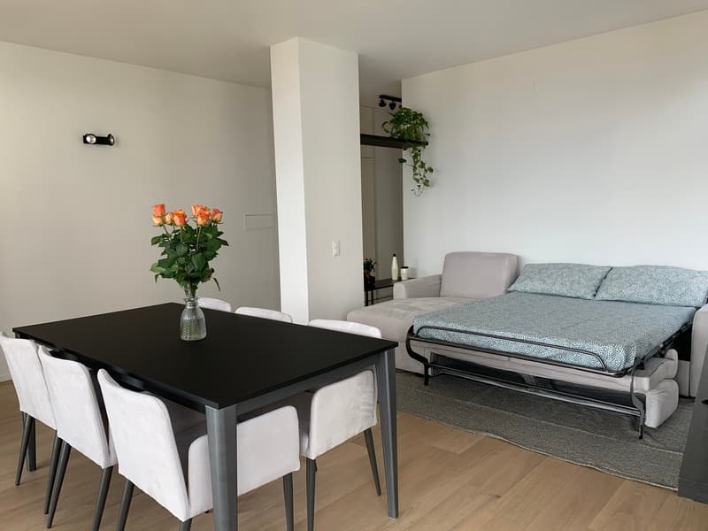 Appartement VUE SUR LAC - meublé et prêt à vivre (16)