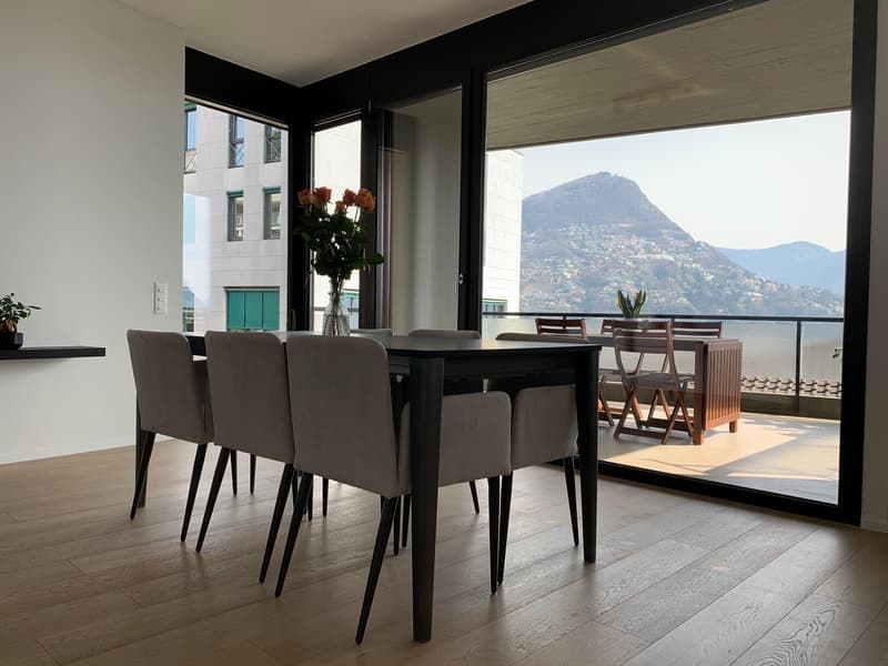 Appartement VUE SUR LAC - meublé et prêt à vivre (14)