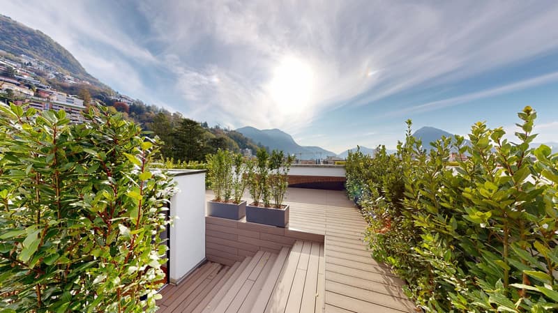 Spacious outdoor terrace with wooden decking, potted plants and shrubs, overlooking a scenic mountain landscape with a blue sky and clouds.