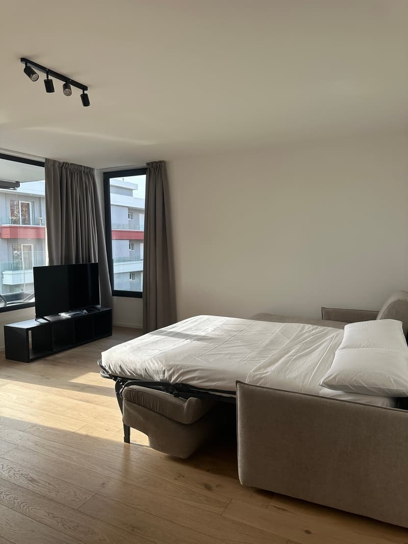 Appartement moderne 3.5 pièces à Viganello avec vue panoramique (7)