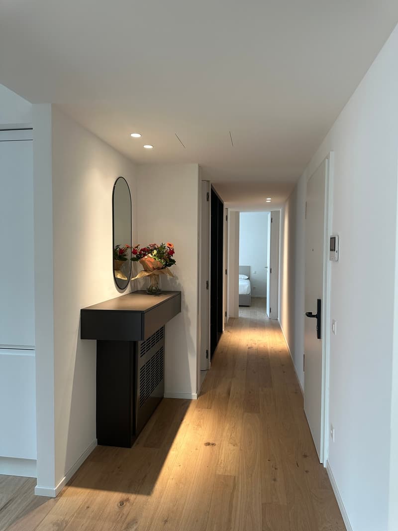 Appartement moderne 3.5 pièces à Viganello avec vue panoramique (1)
