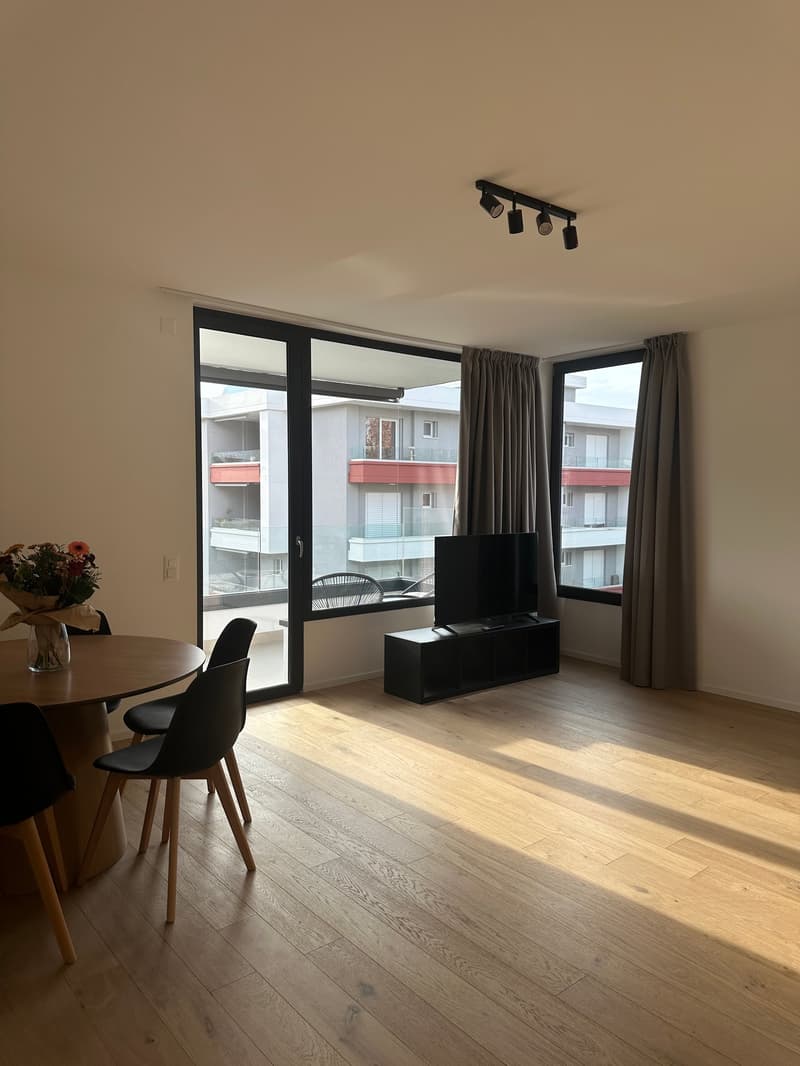 Appartement moderne 3.5 pièces à Viganello avec vue panoramique (5)