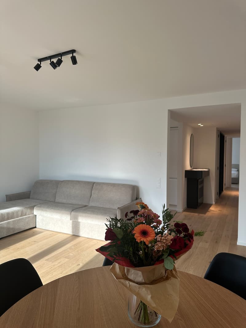 Appartement moderne 3.5 pièces à Viganello avec vue panoramique (3)