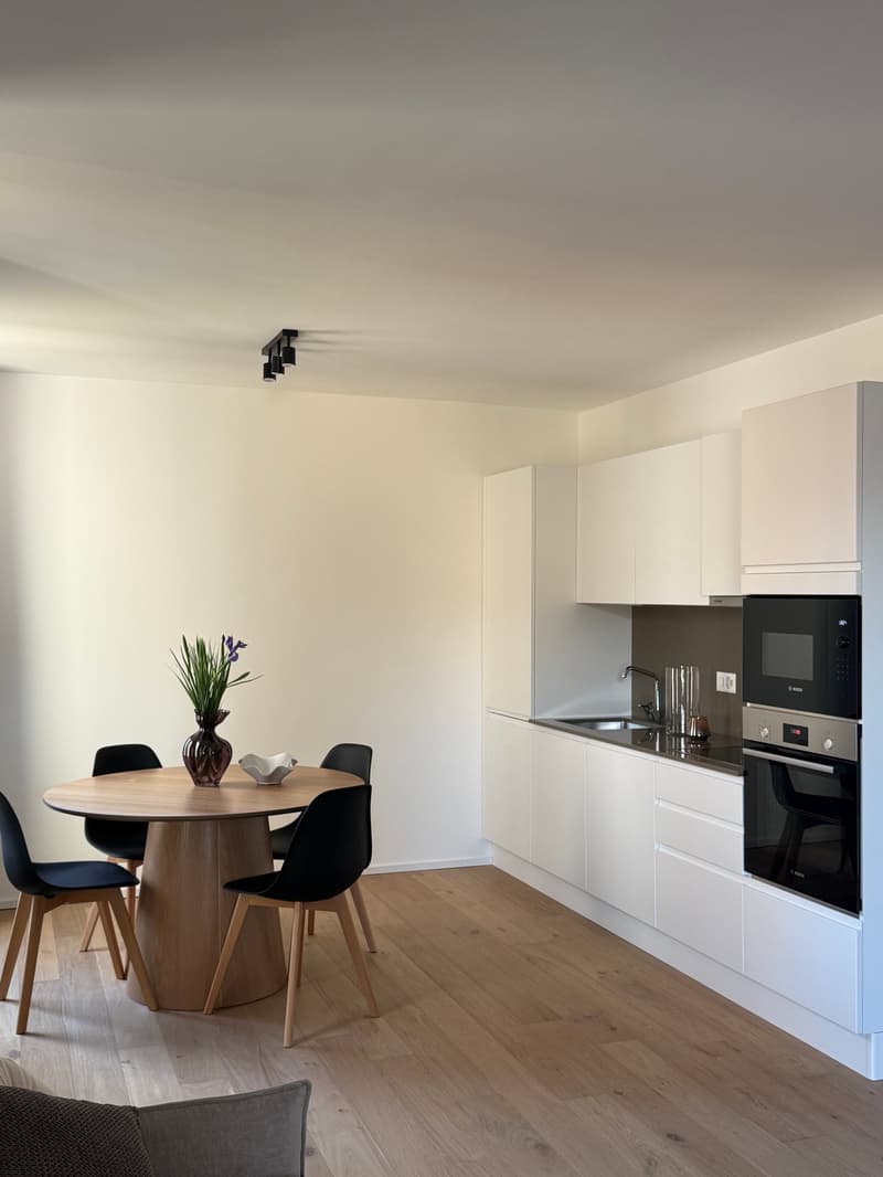 Appartement confortable 2.5 pièces à Viganello avec balcon (5)