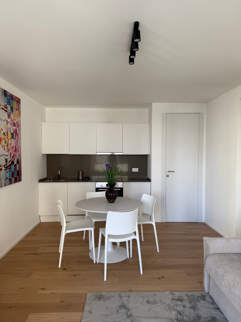 modern kitchen, white cabinets, modern fittings, black faucet, sink, stainless steel cooker, white floor, dining table and chairs, wall art, carpet