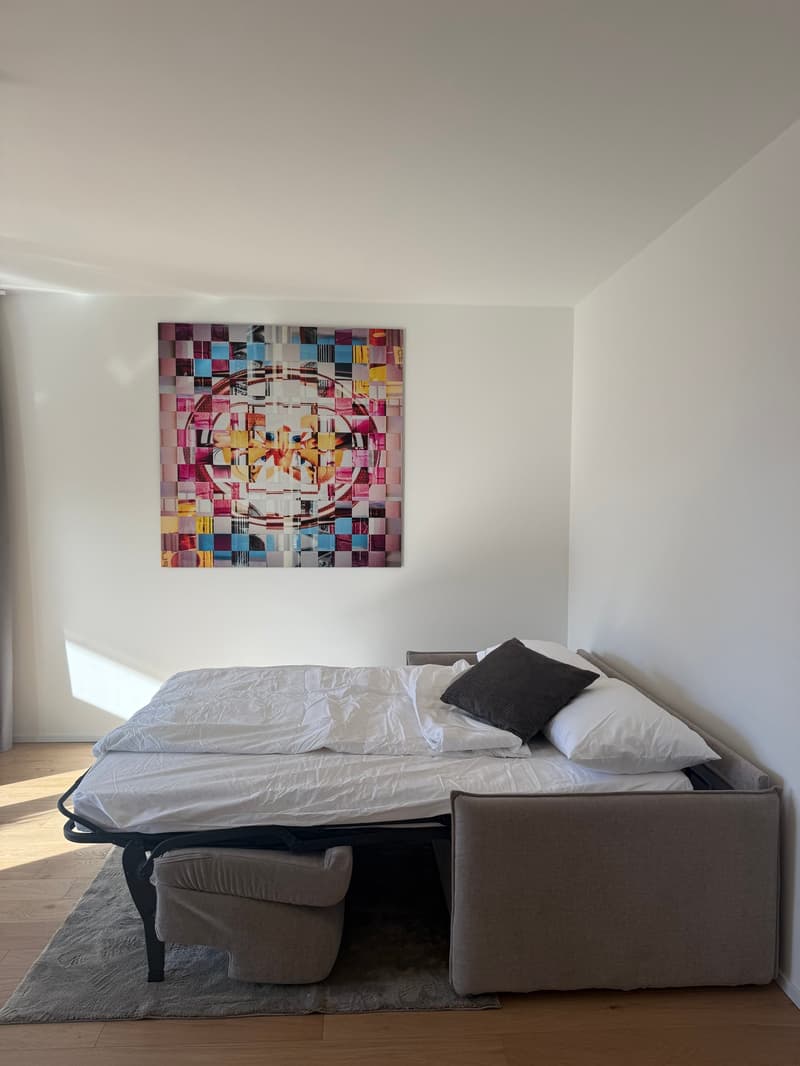Bed with two pillows, rug, bed sheet, abstract painting on the wall