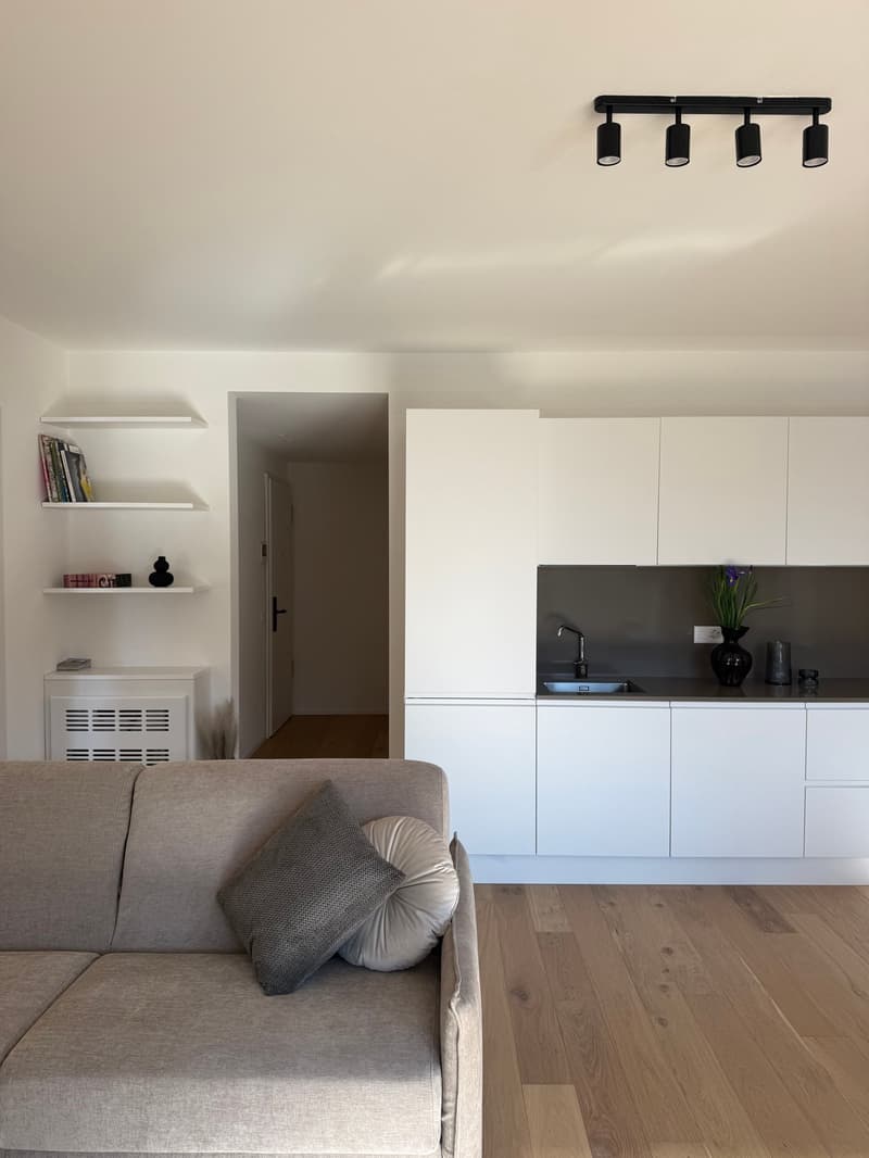 living room with modern white cabinetry, wooden floor, white couches, hanging lamps